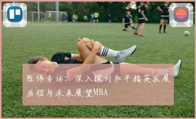 陈伟专访：深入探讨和平精英发展历程与未来展望MBA