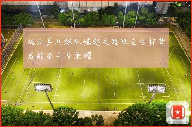 杭州乒乓球队崛起之路联合会杯背后的奋斗与荣耀