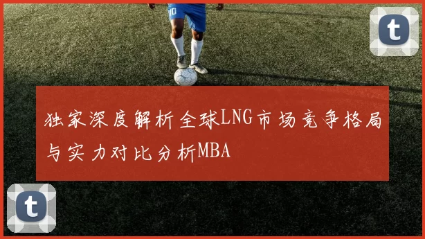 独家深度解析全球LNG市场竞争格局与实力对比分析MBA