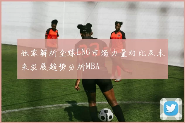 独家解析全球LNG市场力量对比及未来发展趋势分析MBA